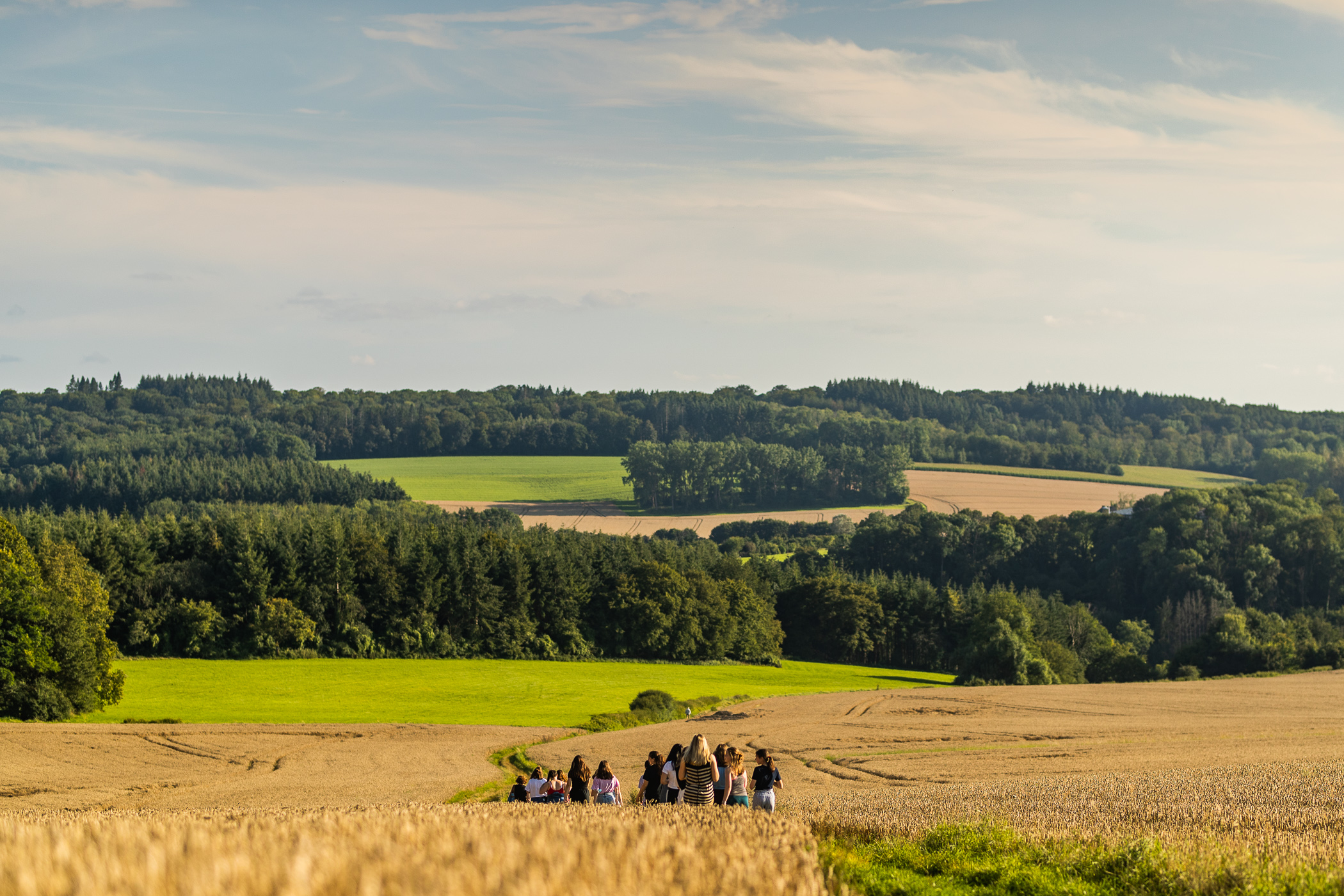 Jongeren die wandelen in de natuur