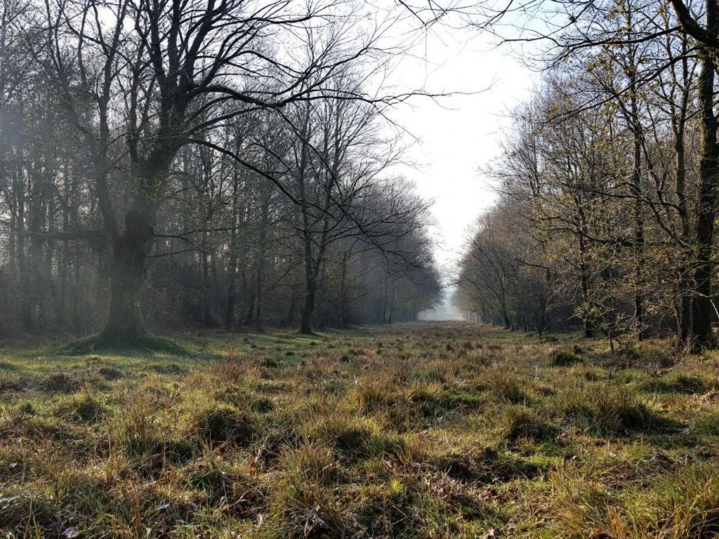Wat is het verschil tussen een taalkamp en een gewoon zomerkamp?